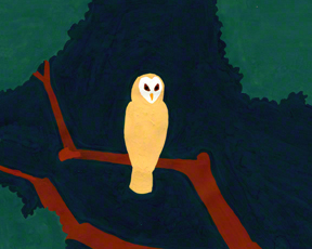 Hoot, says the owl with her head so white